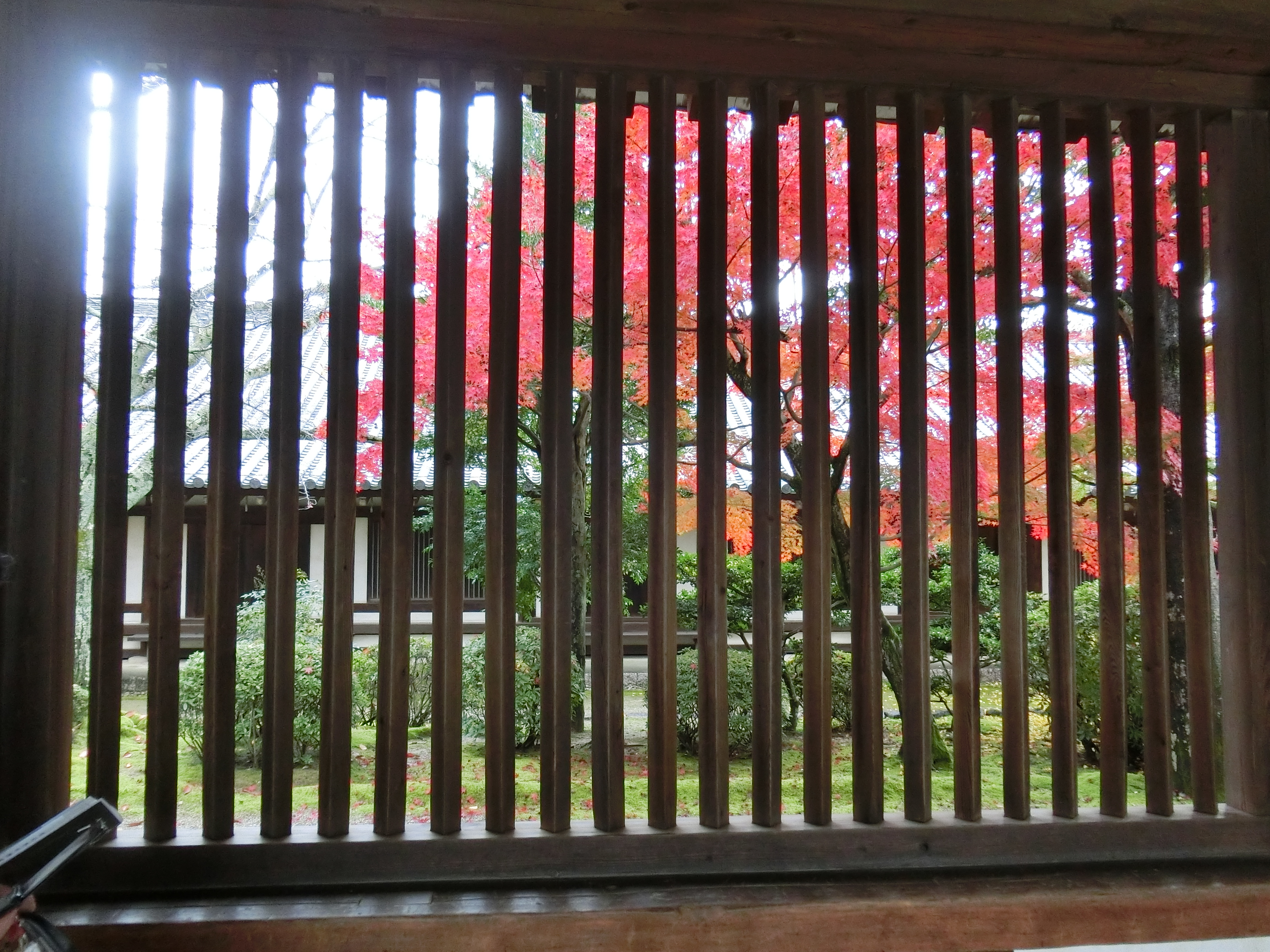 This picture is for quick loading of picture.