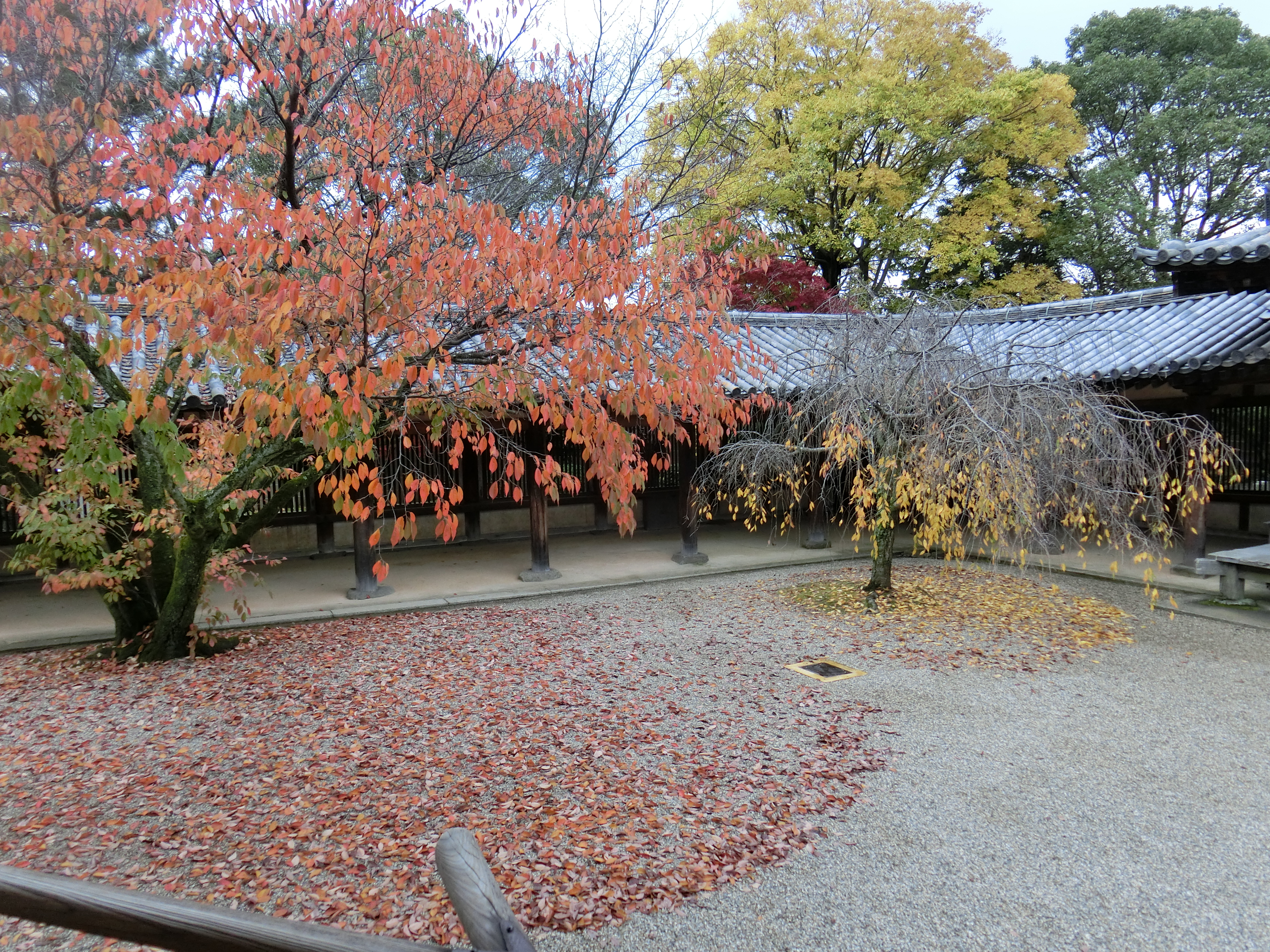 This picture is for quick loading of picture.