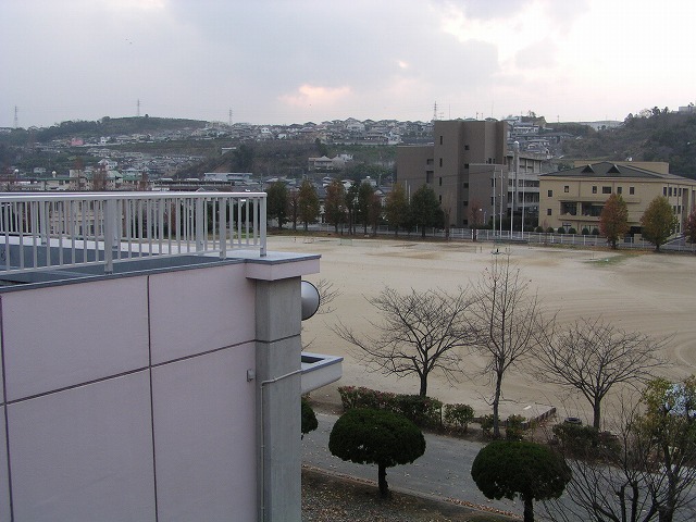 This picture is for quick loading of picture.