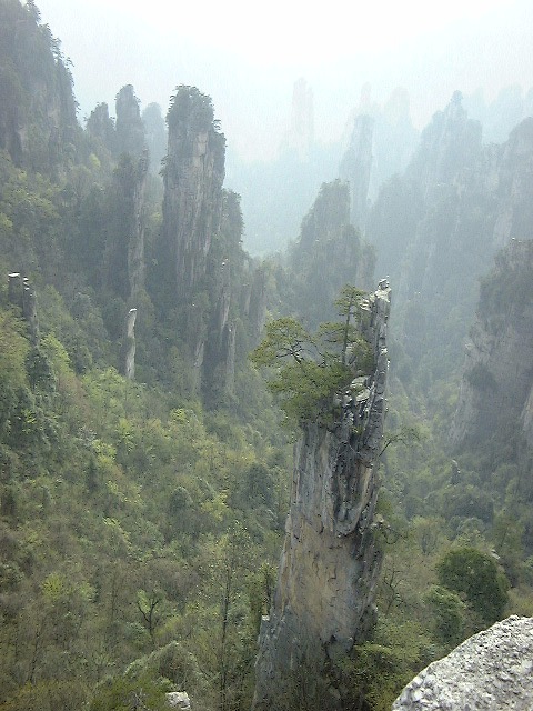 This picture is for quick loading of picture.