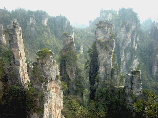 This picture is for quick loading of picture.