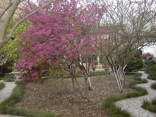This picture is for quick loading of picture.