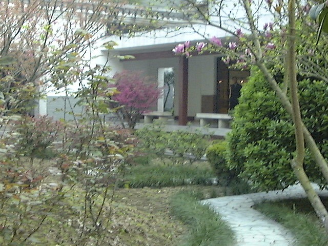 This picture is for quick loading of picture.