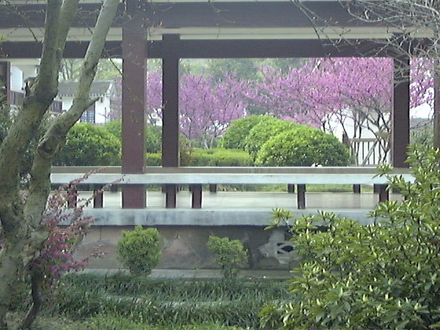 This picture is for quick loading of picture.