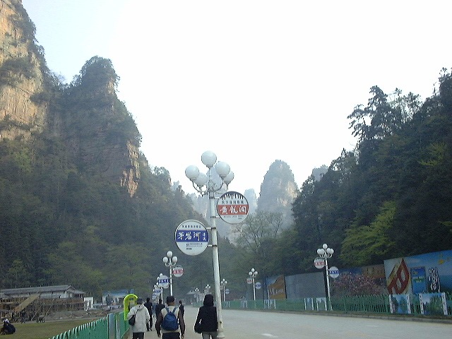 This picture is for quick loading of picture.
