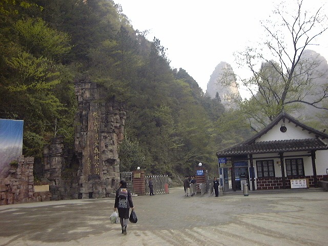 This picture is for quick loading of picture.