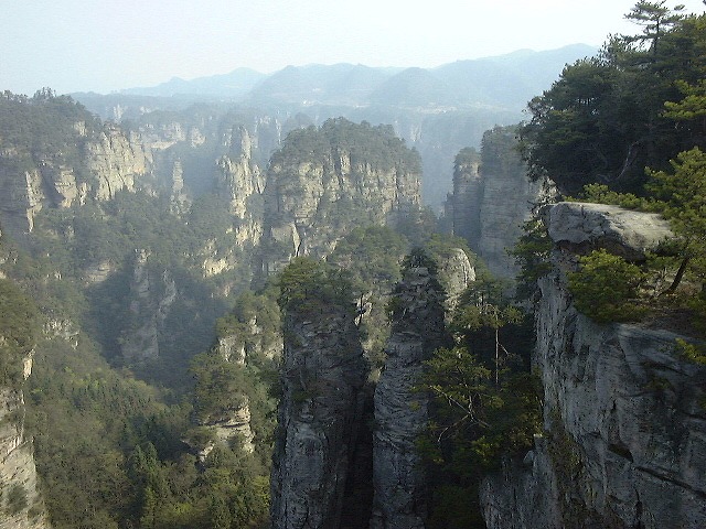 This picture is for quick loading of picture.