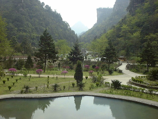 This picture is for quick loading of picture.