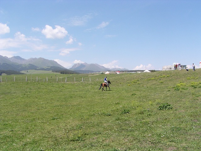 This picture is for quick loading of picture.