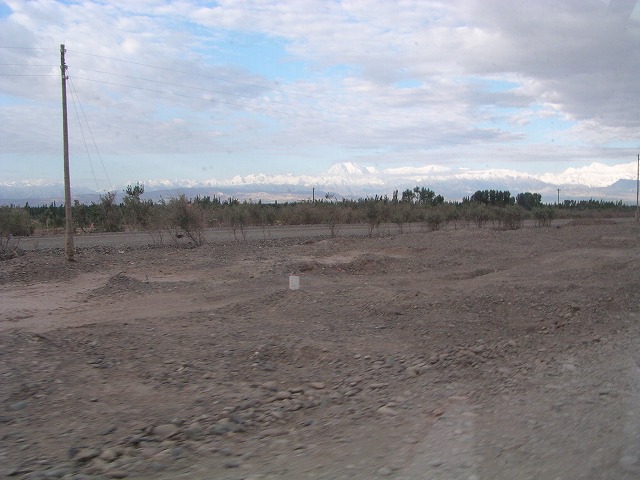 This picture is for quick loading of picture.